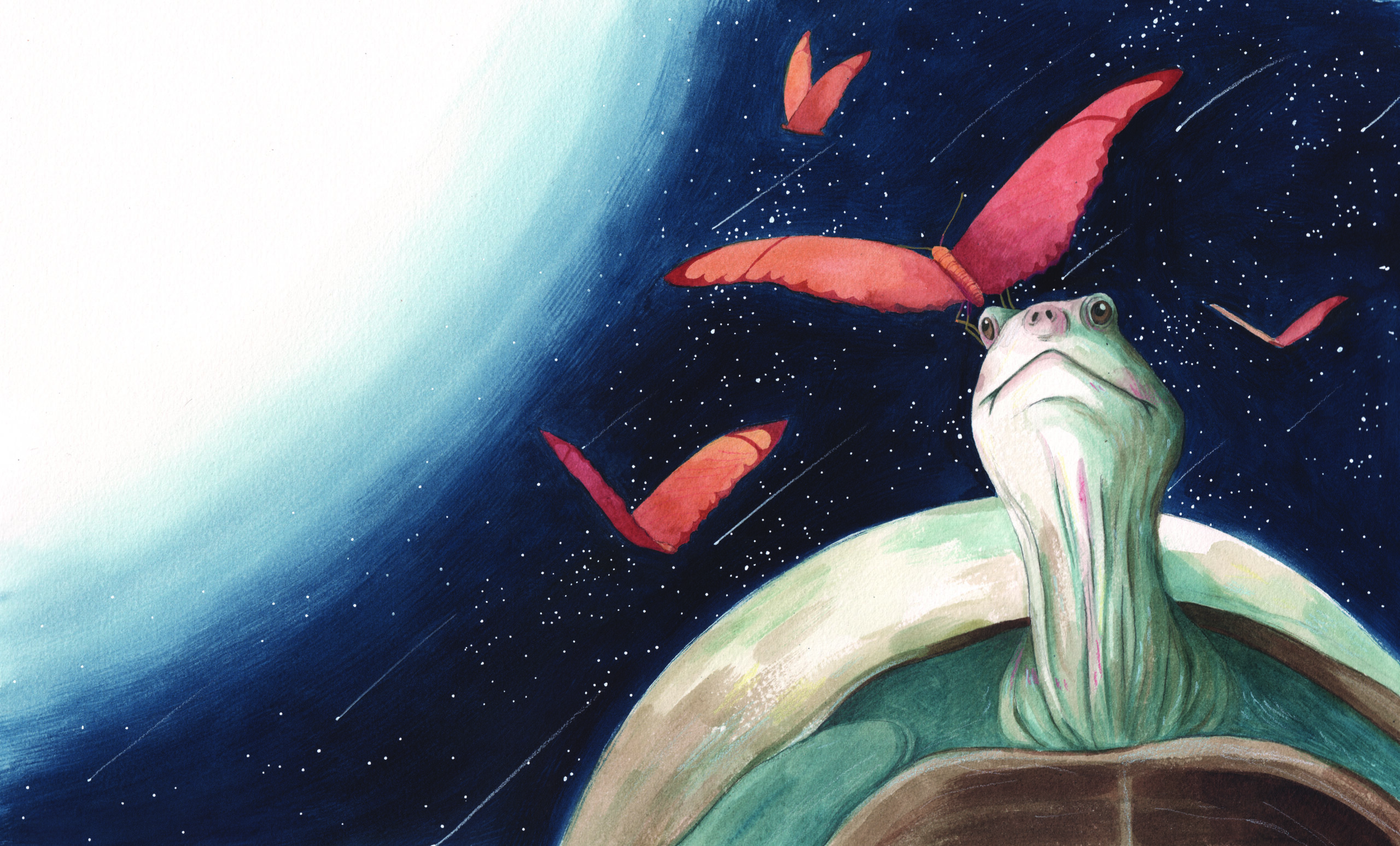 No7CGICuweAq-TURTLE-TEARS